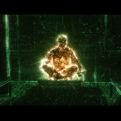 Trip