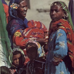 Nubian Songs 2 - Music of Upper Egypt
