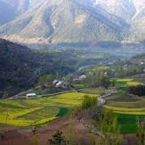 Led Zeppelin Kashmir Acoustique