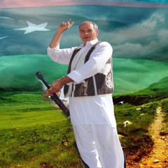 الشاعر ابراهيم دبوب