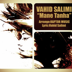 Vahid Salimi - Mane Tanha