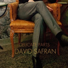 David Safran – “To the Lion”