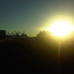 The Pioneers - You No Ready Yet