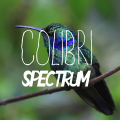 Spectrum - Colibri[FREE]