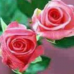 I Still Believe/ Super Bass