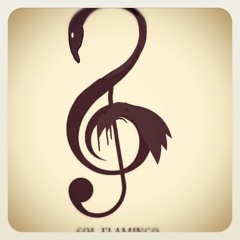 Sol Flamingo. - Gatos