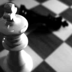 LETRASDETRAS-TOLER-SOMES-CLEESEN