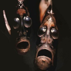 Daniel h (New Album Track 4)