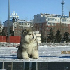 LoveConversion - Plov Sne Banh Chras Turs.mp3