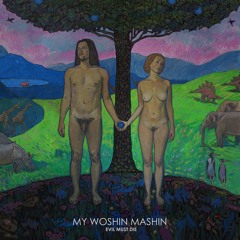 My Woshin Mashin - Riders On The Storm
