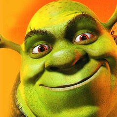 Shrek What Are You Doing In My Swamp Mix at Surf Beach