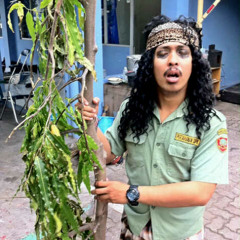 Sela Good - Sun Gloria