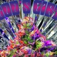 R.I.P-We Shall Rest In Pussy (Prod.Nomak)