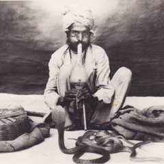 Snake Charmer