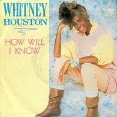 WITHNEY HOUSTON - How Will I Know (The Great Cookies Re-Work 2013) FREE DOWNLOAD !!!!