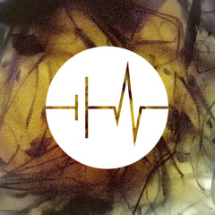 tatratank & M. Bryon Live @ Hertz / Traum, Fléda Brno, 10.5.2013 (excerpt)