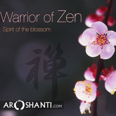 Way Of The Zen Warrior - 7:22 (Sample)