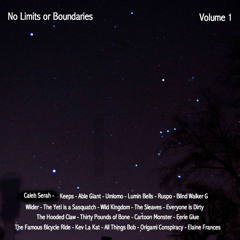 No Limits or Boundaries Vol. 1