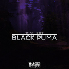Dropic Thunder - Black Puma ( OUT NOW) @ThunderRecords
