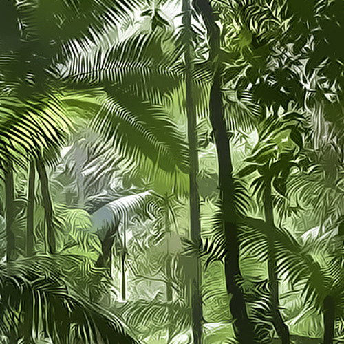 Rainforest Quest