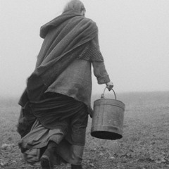 Over The Palm Tree فوق إلنا خل