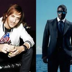 Akon ft. David Guetta - Party Animal (Remix) [DJ Mebbe]