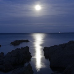 Moonglow — Fluteman Quartet