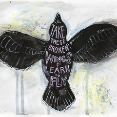 Blackbird singing in the dead of night