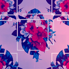 Blackbird Blackbird - All (Toska Remix) *Free DL*