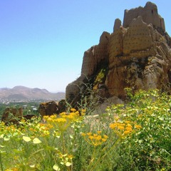 Base of Love (T.G. Virus 1997)