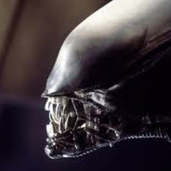 Xenomorph