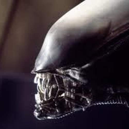 Xenomorph