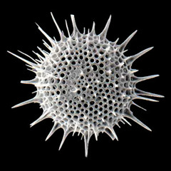 Live at subarea51 part two