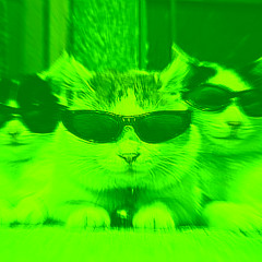 katzen 1.0