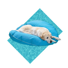 my dog is good