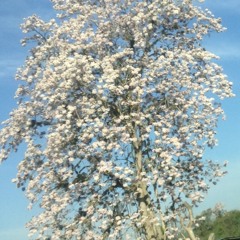 lun evening mix pt.1