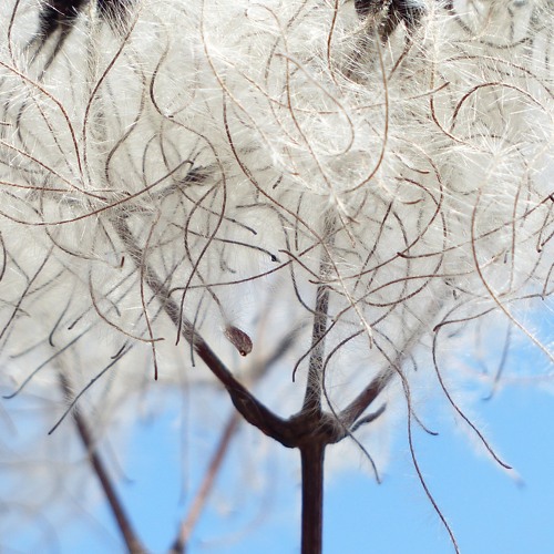 Smooth (Freebeat)