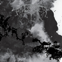 ASH BORER - Descended Lamentations