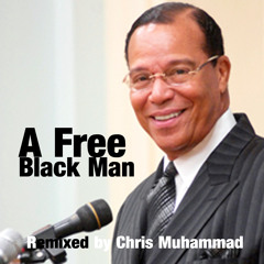 You looking @ " A Free Black Man"