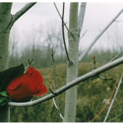 Marcant - Hurt (cover)