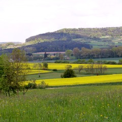 MACRIMA - Über Wald und Felder