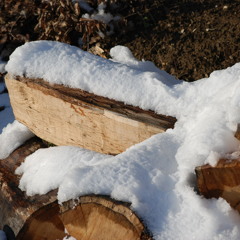 Danny + Philipp 2012 - Some say love is a river