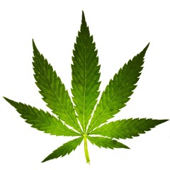 dubst