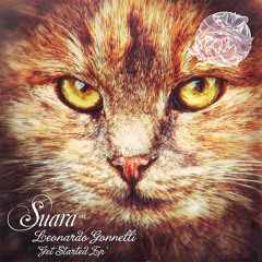 Leonardo Gonnelli - Sunday Moon (Original mix) [SUARA]