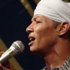 زين محمود (الشيخ الفرنسى )