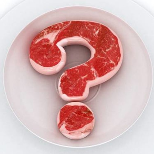 "What The Hell Is This?" Meat Katie  Promo Mix - May 2013