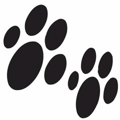 Where is Cesco (Original mix)