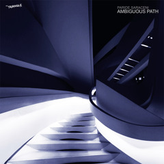 Paride Saraceni - False Suggestion [the triangle rec.] preview