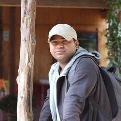 Collections