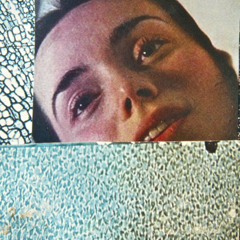 ⊲⊲⊲⊲⊲⊲⊲